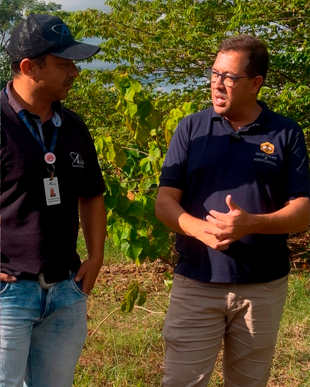 Projeto SOS Uruçu Amarela em Parceria com a Doce Futuro