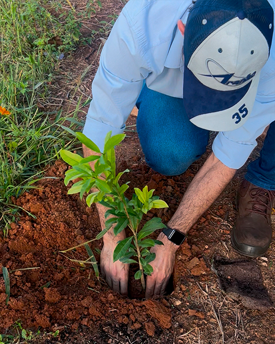 Colmeia do Projeto SOS Uruçu Amarela