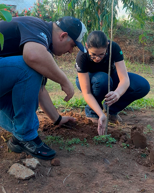 Abelha nativa do projeto de preservação